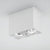 LIGHT HOUSE 2 LED-Deckenstrahler 2x 9,3 W, CRI>90 DLS Lighting