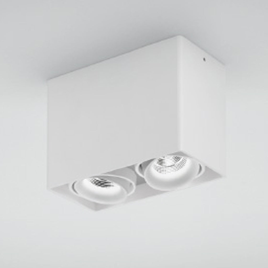 LIGHT HOUSE 2 LED-Deckenstrahler 2x 9,3 W, CRI>90 DLS Lighting