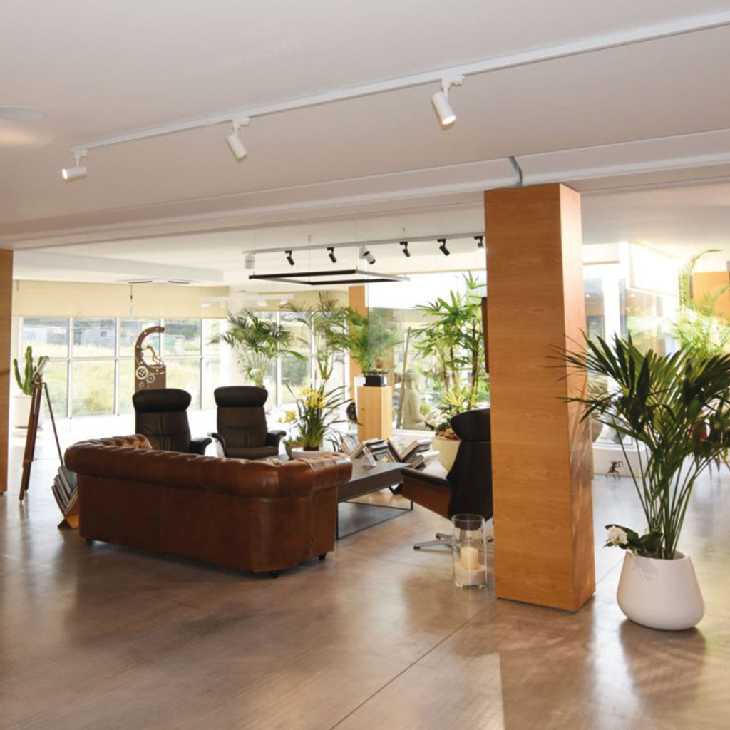 Beneito Faure PICOLO LED 3-Phasenstrahler 9,5W 15º/38º/60º schwarz